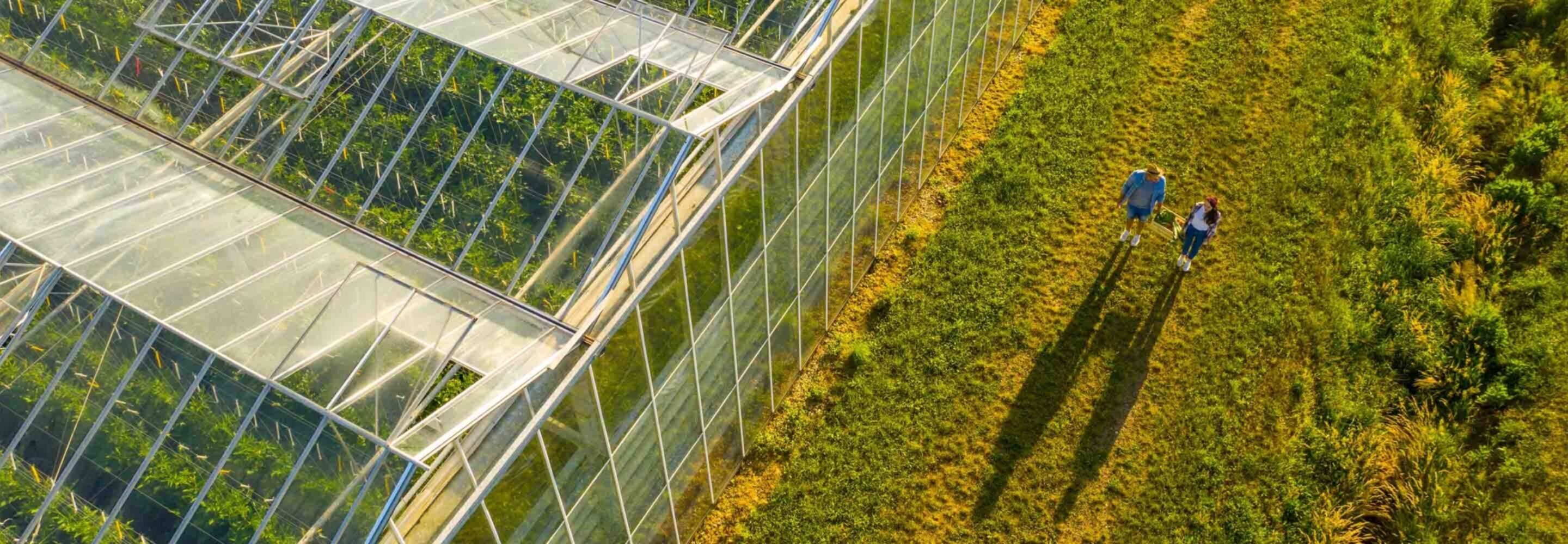 sustainability-ESG-direct-indexing